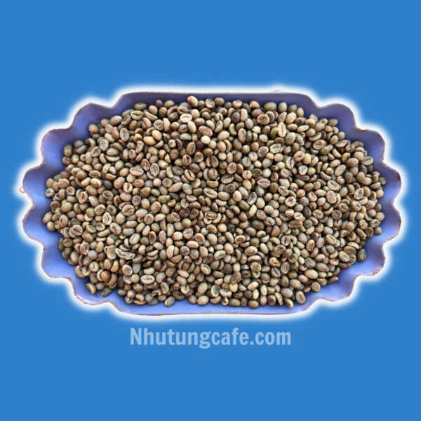 arabica hàng tiêu s13