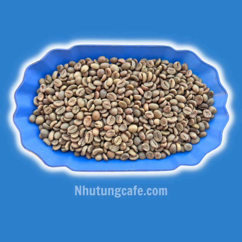 Cà phê nhân chế biến honey S16